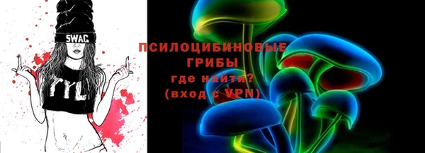 хмурый Алзамай