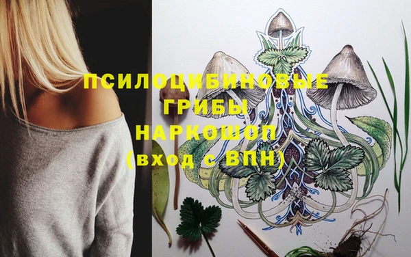 хмурый Алзамай