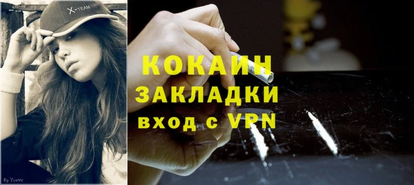 хмурый Алзамай